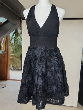 Aiden Black Rosette Skirt Dress